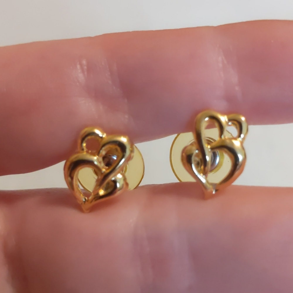 💐 Double Heart Costume Earrings